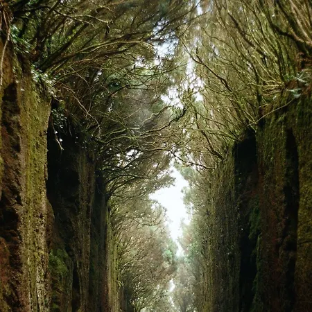 New In Tenerife Costa Del Silencio