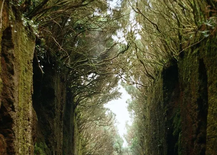 New In Tenerife Costa Del Silencio