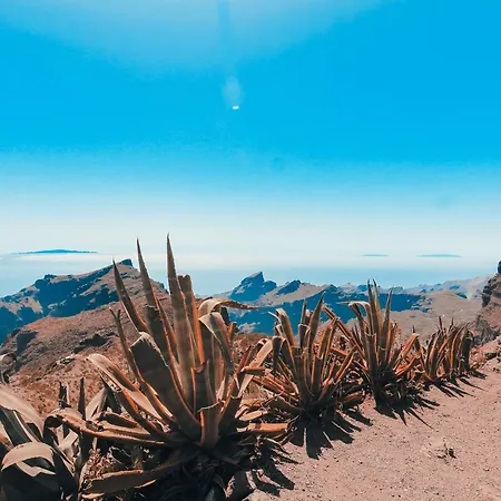 New In Tenerife * طوستا ديل سيلونثيو