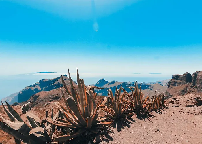 New In Tenerife * Costa Del Silencio